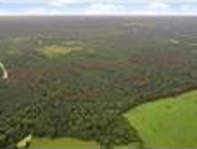 Land for sale in Walker, Texas