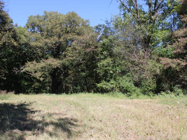 Land for sale in Commiskey, Indiana