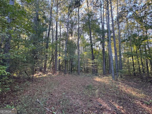 Land for sale in Franklin, Heard County