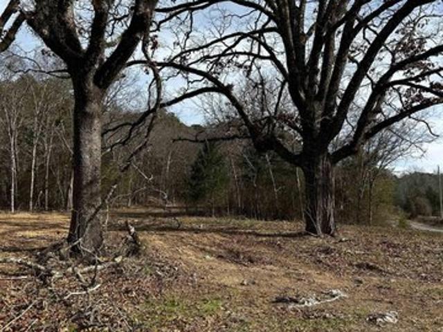 Land for sale in Ark