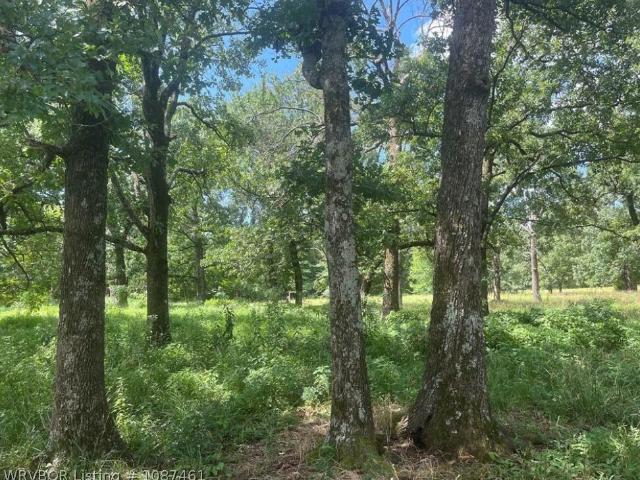 Land for sale in Howe, Oklahoma