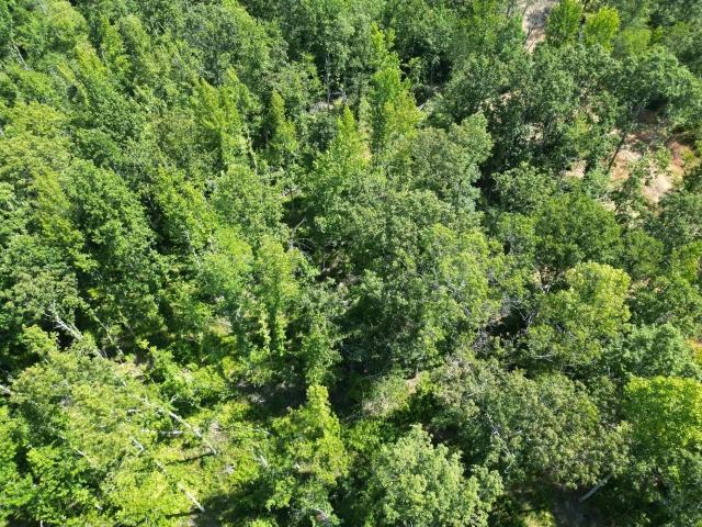 Land for sale in Savannah, West Tennessee
