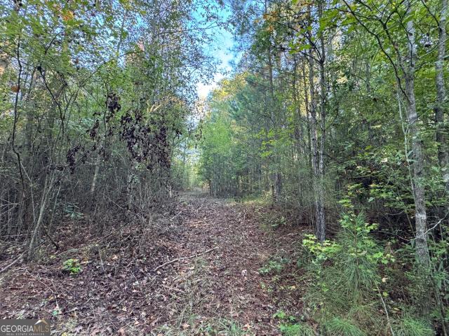Land for sale in Franklin, Heard County