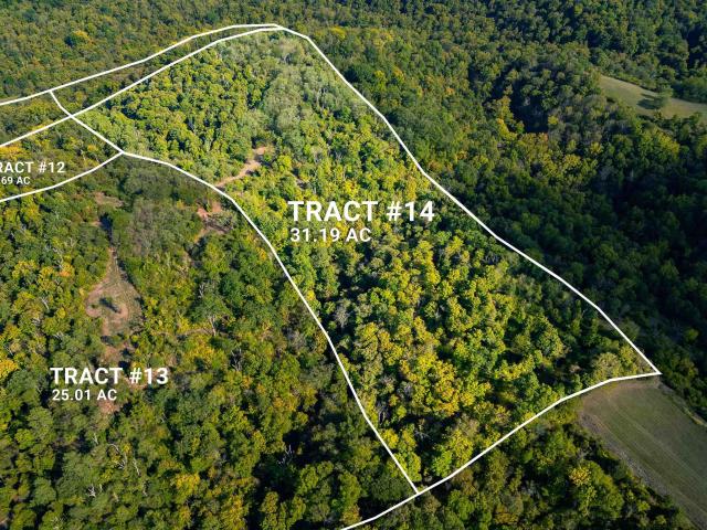 Land for sale in Patriot, Indiana