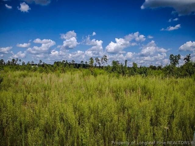 Land for sale in Fairmont, North Carolina