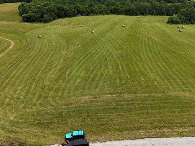 Land for sale in Big Clifty, Kentucky