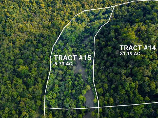 Land for sale in Patriot, Indiana