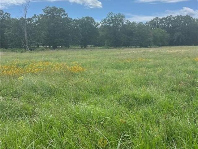 Land for sale in Howe, Oklahoma