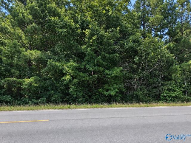 Land for sale in Centre, Alabama