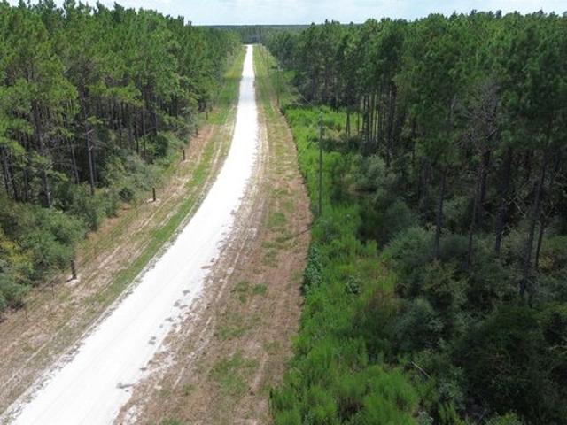 Land for sale in Lovelady, Houston County