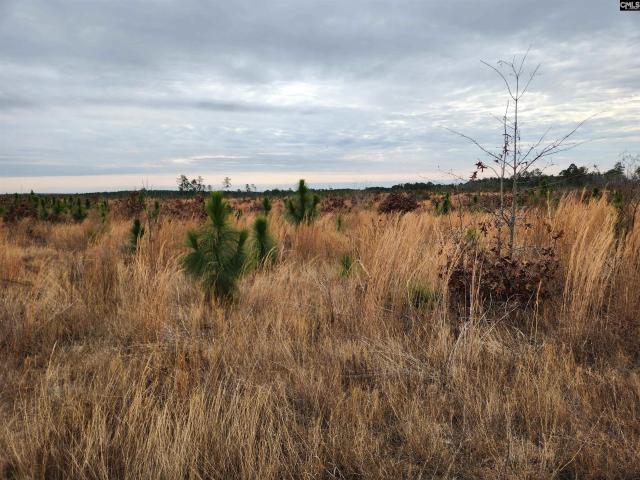 Land for sale in Camden, South Carolina