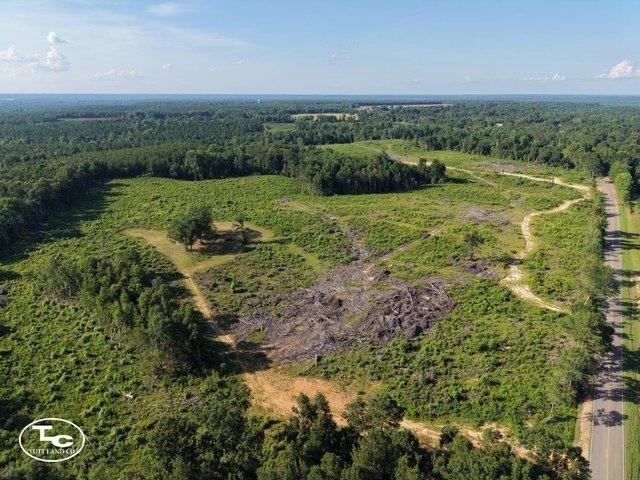 Land for sale in Camden, Alabama