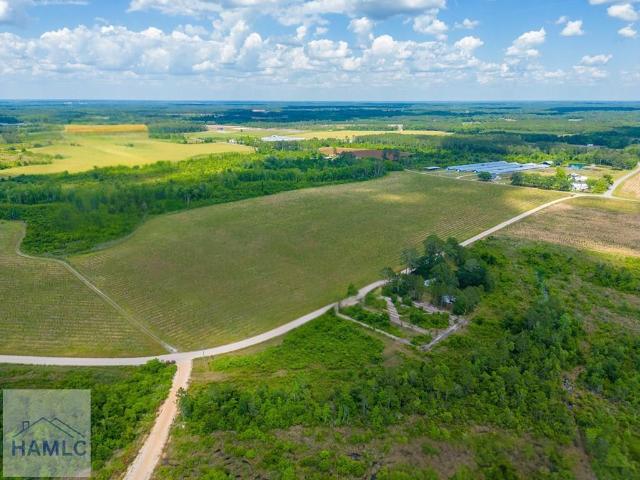 Land for sale in Baxley, Georgia