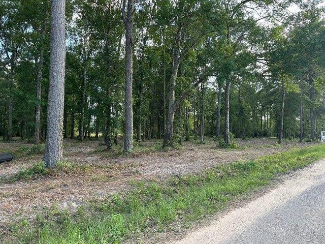 Land for sale in Splendora, Texas