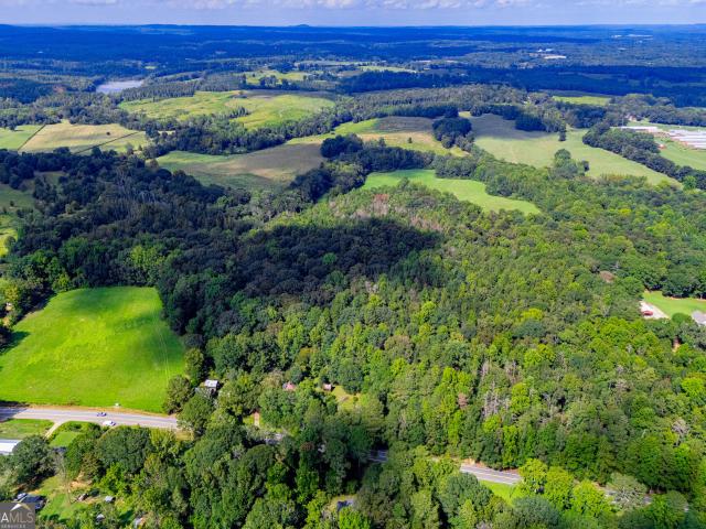 Land for sale in Bowdon, Carroll County