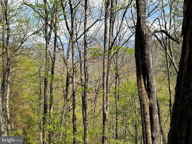 Land for sale in Seneca Rocks, West Virginia