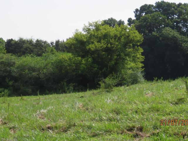 Land for sale in Boaz, Alabama