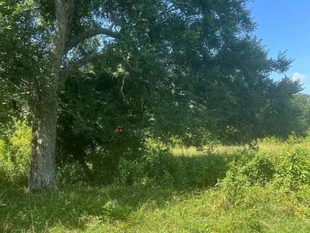 Land for sale in Howe, LeFlore County