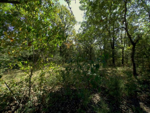 Land for sale in Urbana, Missouri