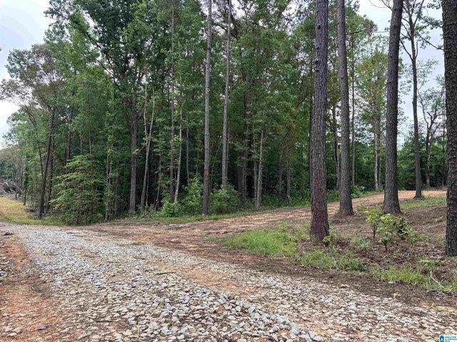Land for sale in Wedowee, Alabama