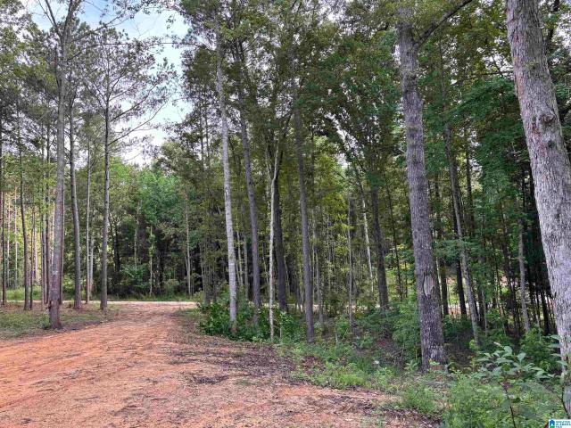 Land for sale in Wedowee, Alabama