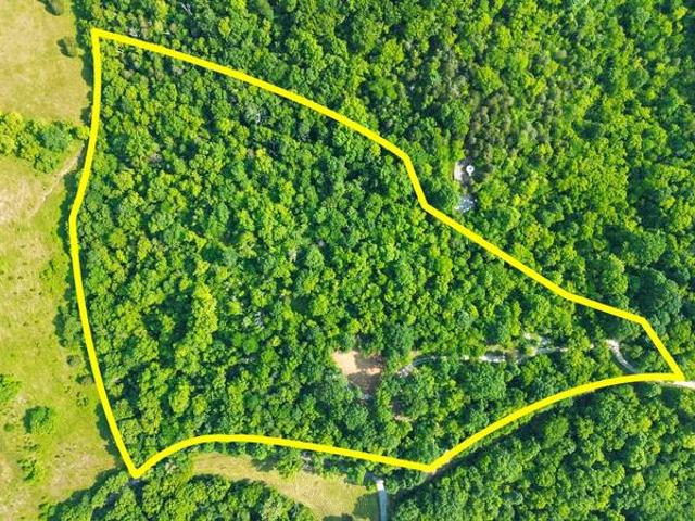 Land for sale in Nicholasville