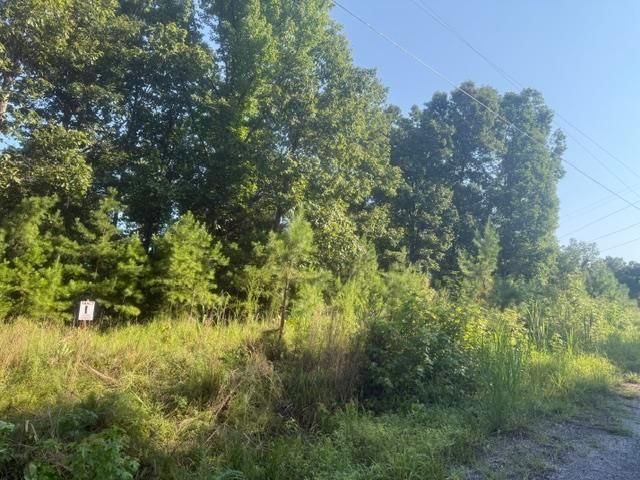 Land for sale in Tennessee