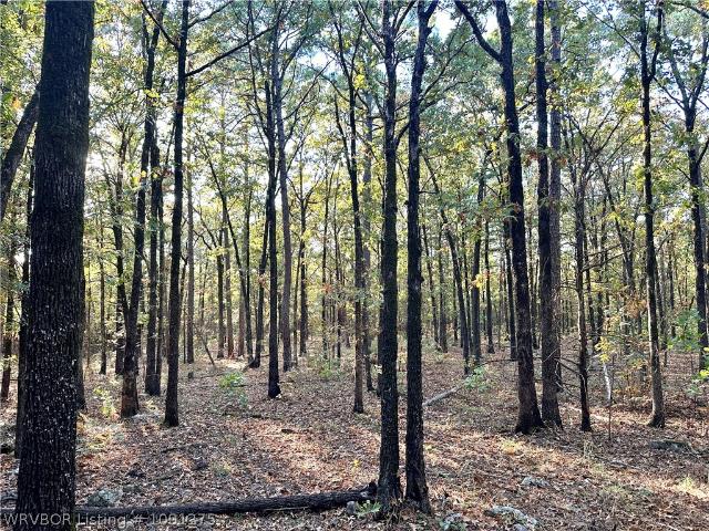 Land for sale in Heavener, Oklahoma