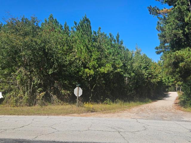 Land for sale in Lincolnton, Lincoln County