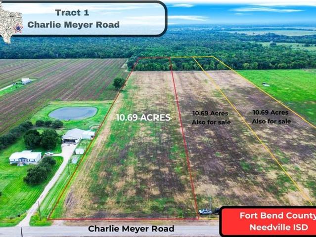Land for sale in Damon, Texas