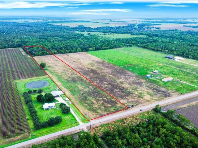 Land for sale in Damon, Texas