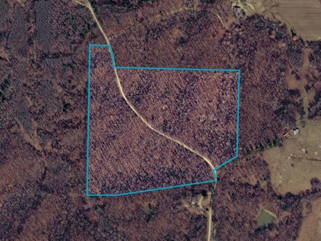 Land for sale in Lafe, Greene County
