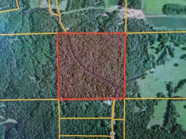 Land for sale in Lafe, Clay County