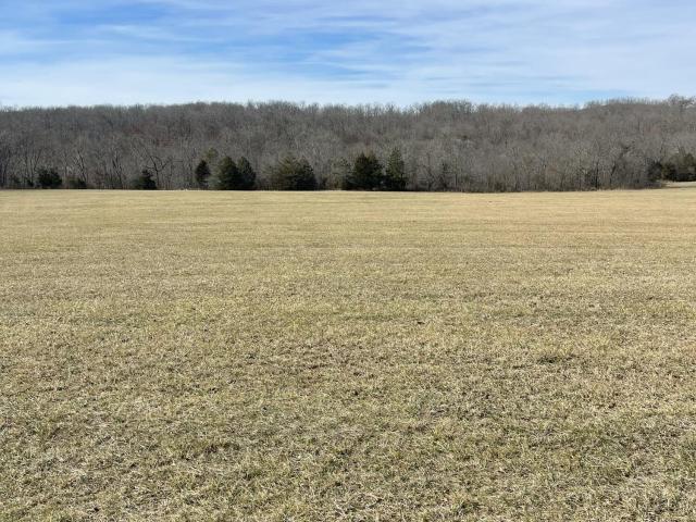 Land for sale in Ava, Missouri