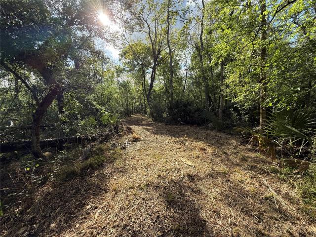 Land for sale in Sweeny, Texas