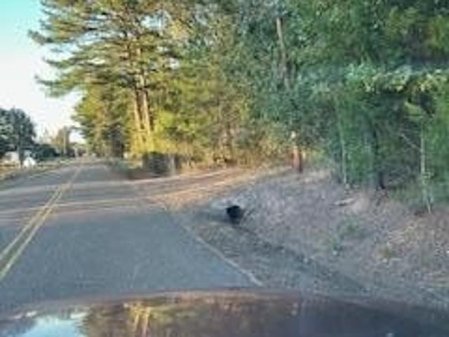 Land for sale in Oxford, Lafayette County