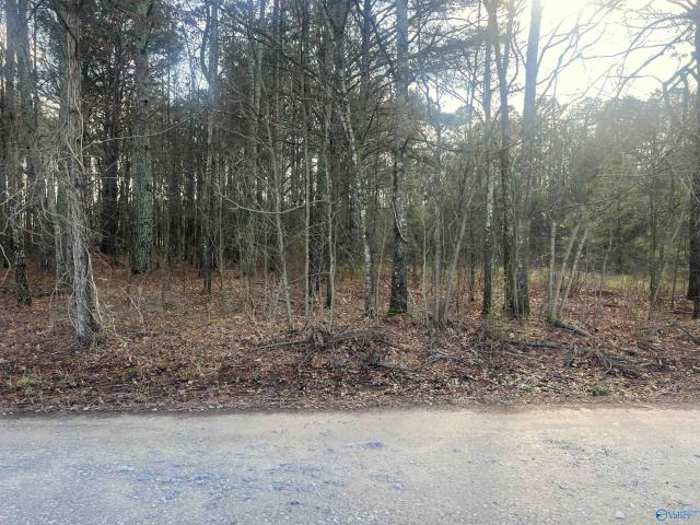 Land for sale in Centre, Alabama