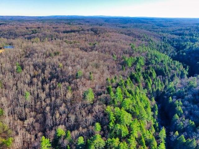 Land for sale in Tennessee