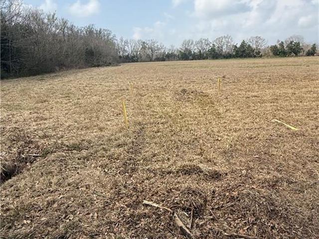 Land for sale in Mansura, Avoyelles Parish