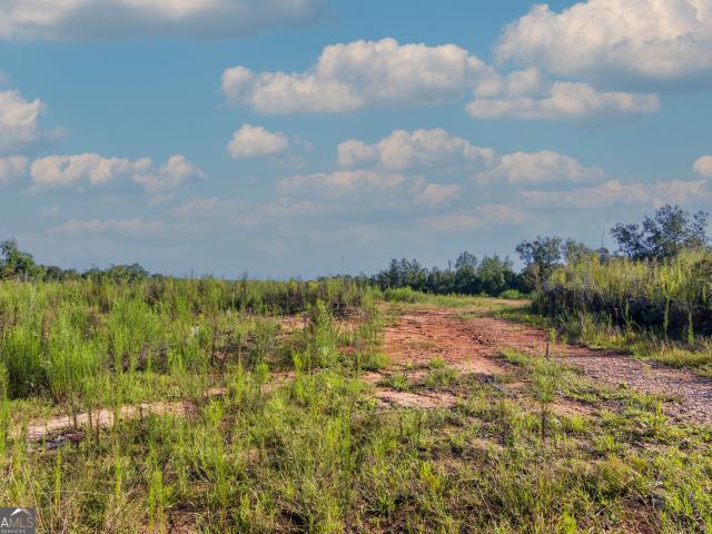 Land for sale in Talbot, Georgia