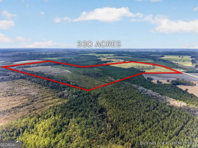 Land for sale in Blackshear, Pierce County