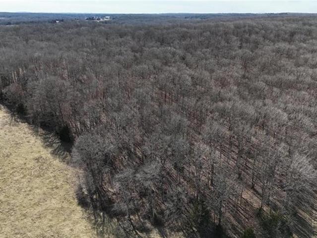 Farm for sale in Salem, Missouri