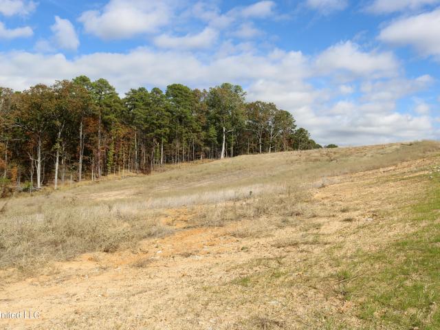 Land for sale in Grenada, Mississippi