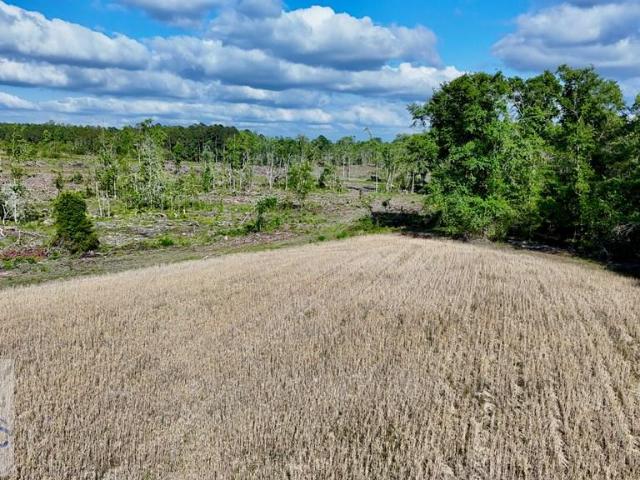 Land for sale in Baxley, Georgia