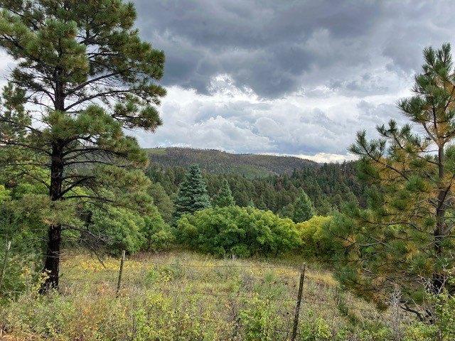 Land for sale in Mora, New Mexico