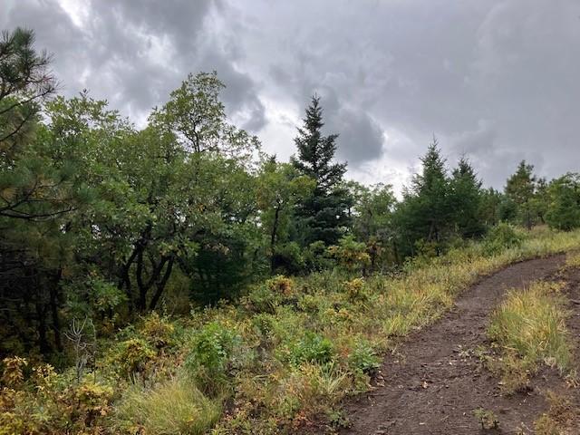 Land for sale in Mora, New Mexico