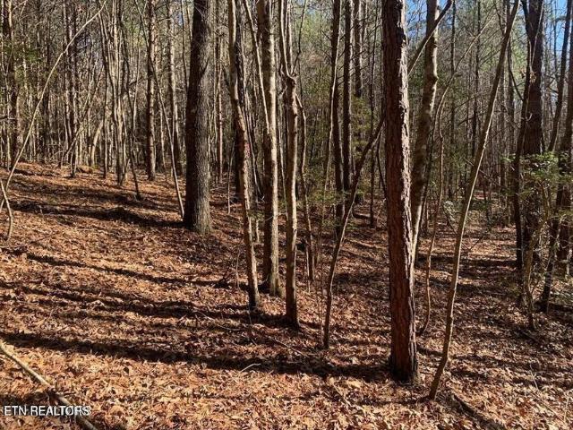 Land for sale in Spencer, Middle Tennessee