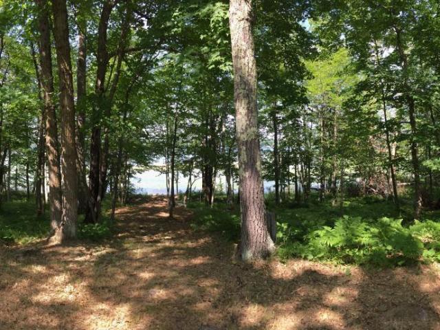 Land for sale in Hackensack, Cass County