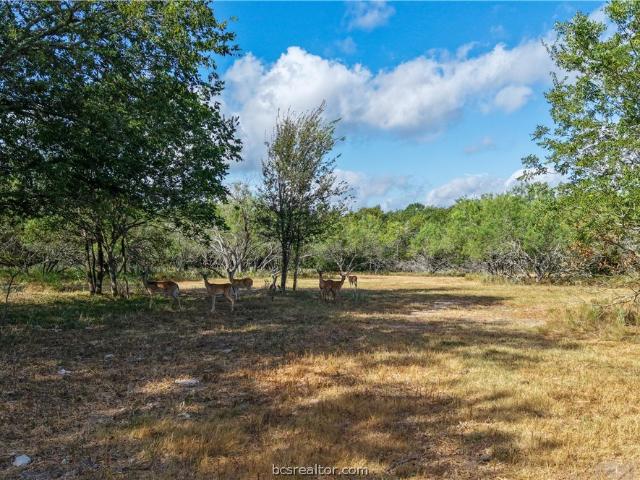 Land for sale in Bryan, Brazos County