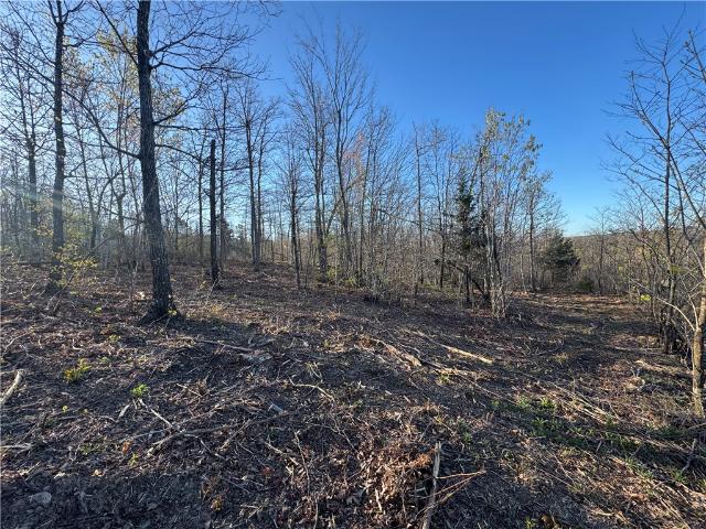 Land for sale in Ark